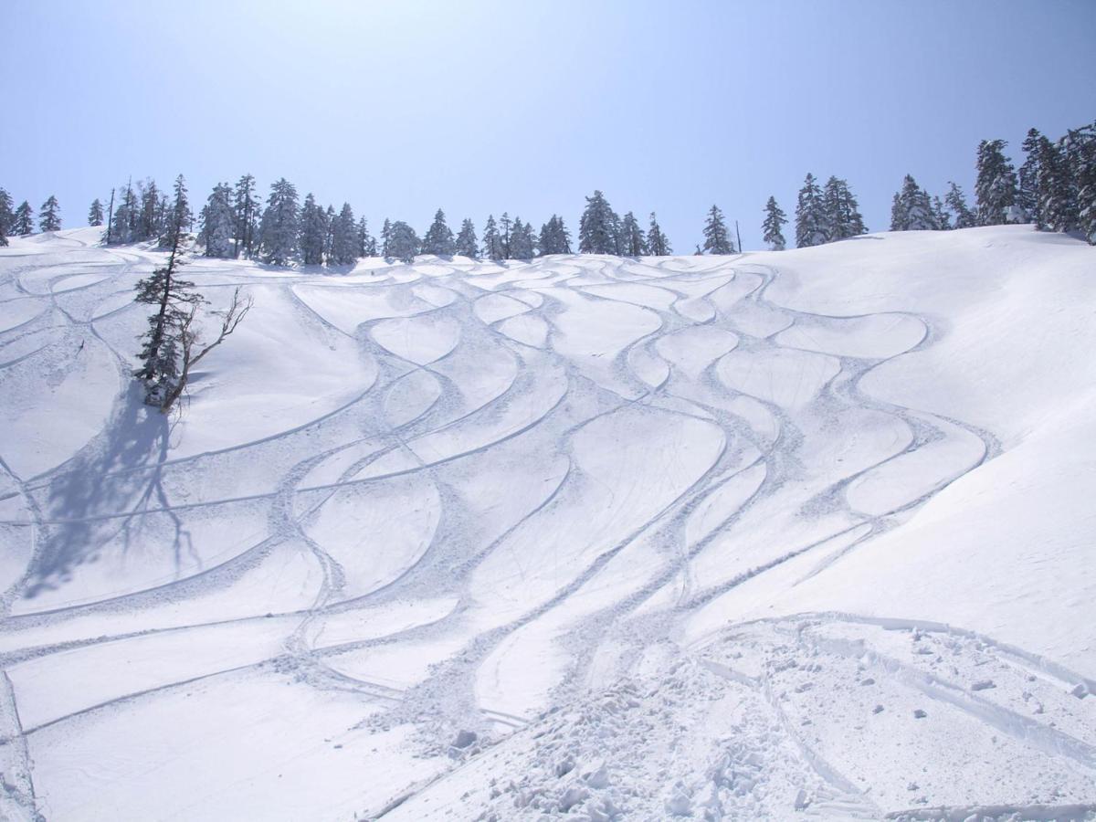 Laionsmanshon Yueemperotanghi 901 Lägenhet Yuzawa  Exteriör bild